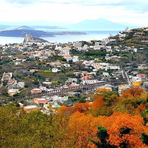 Hotel Parco Conte Casamicciola Terme ภายนอก รูปภาพ