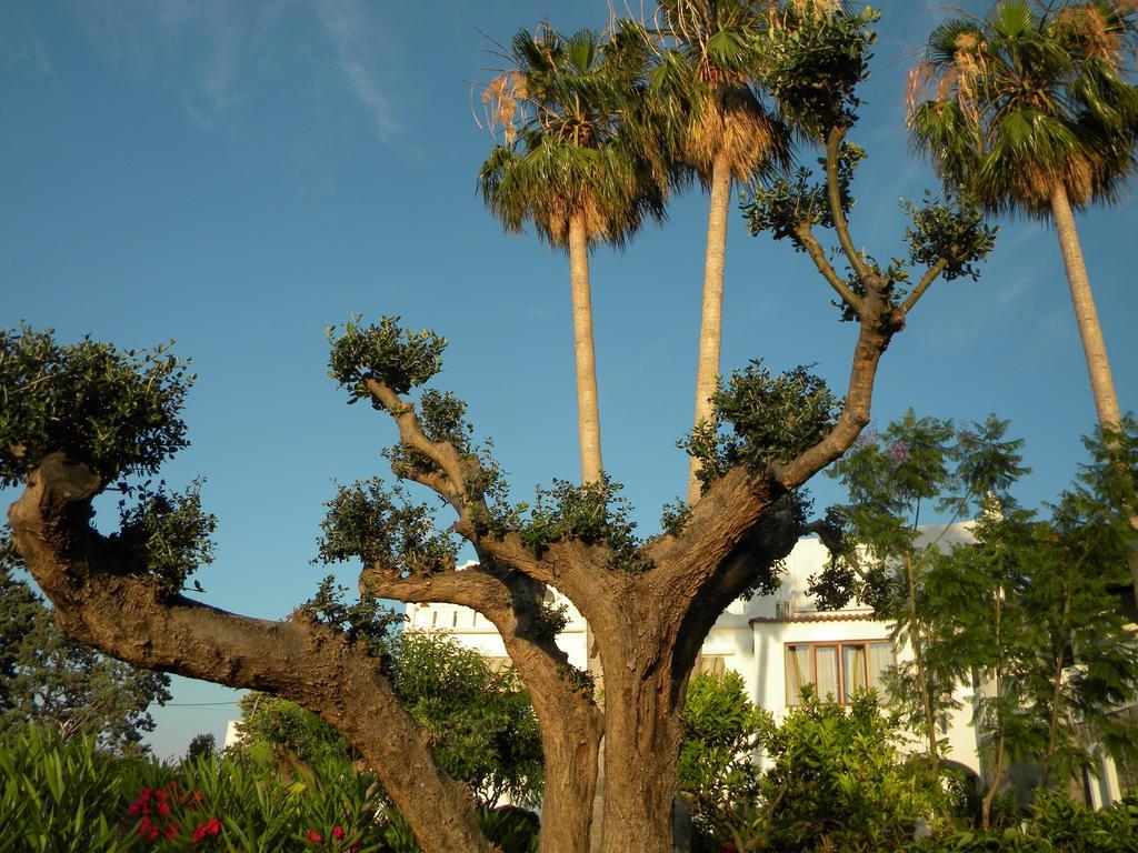 Hotel Parco Conte Casamicciola Terme ภายนอก รูปภาพ