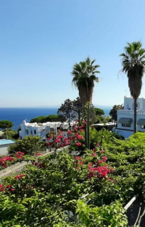 Hotel Parco Conte Casamicciola Terme ภายนอก รูปภาพ