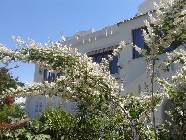 Hotel Parco Conte Casamicciola Terme ภายนอก รูปภาพ