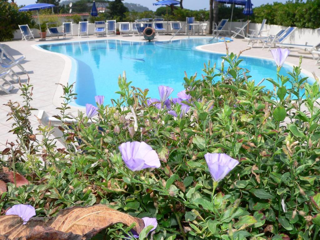 Hotel Parco Conte Casamicciola Terme ภายนอก รูปภาพ