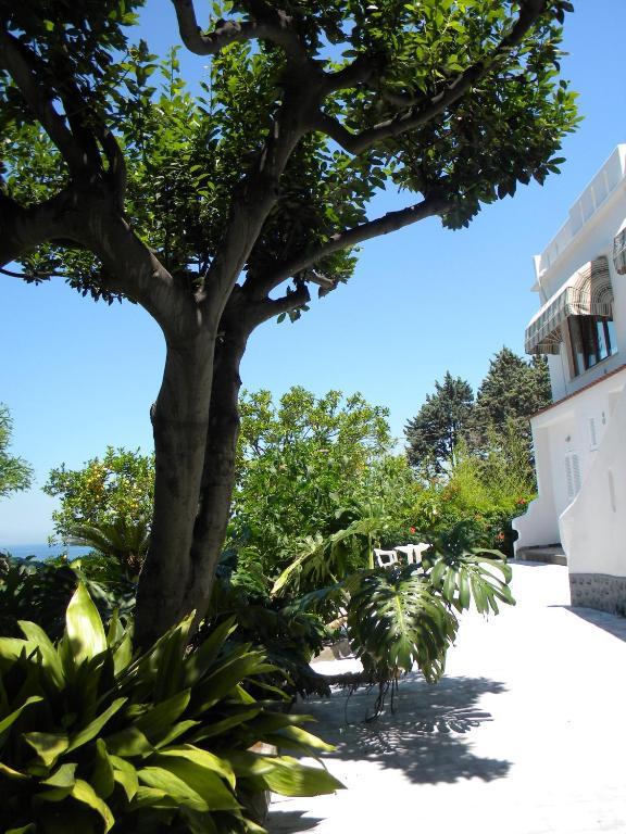 Hotel Parco Conte Casamicciola Terme ภายนอก รูปภาพ